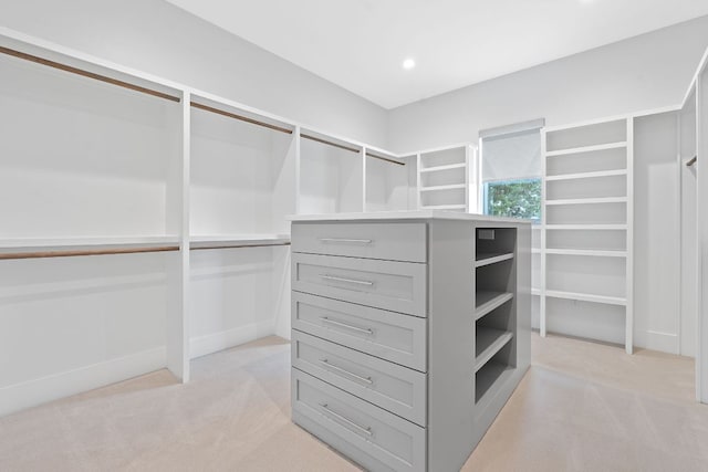 229 Tiffanie Way, Austin, TX 78737 - spacious closet featuring light colored carpet