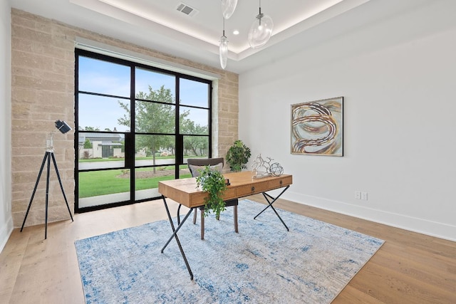 229 Tiffanie Way, Austin, TX 78737 - office space featuring a raised ceiling, baseboards, wood finished floors, and visible vents