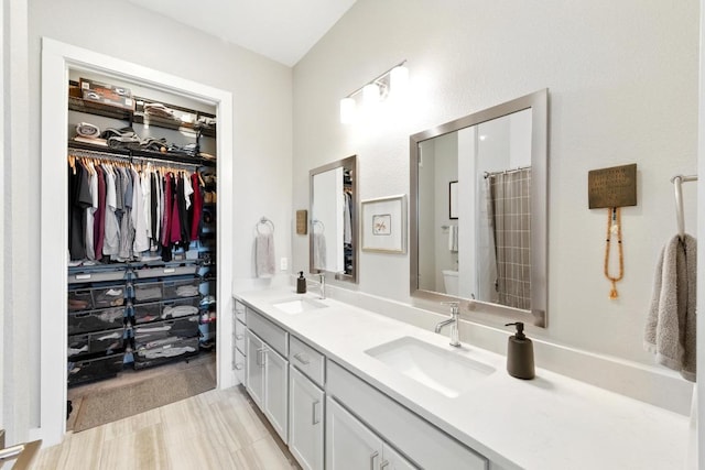 bathroom featuring a sink, double vanity, and a spacious closet
