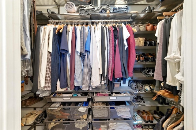 view of spacious closet