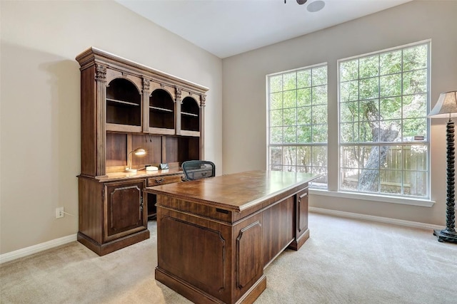 10768 Bramblecrest Dr, Austin, TX 78726 - office featuring light carpet and baseboards