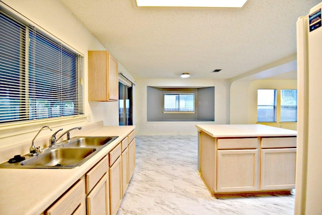 1411 Baffin Cv, Round Rock, TX 78664 - kitchen featuring a sink, light brown cabinetry, a textured ceiling, and light countertops