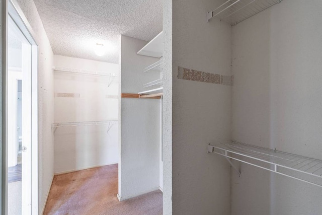 spacious closet featuring carpet floors