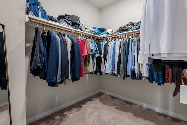 walk in closet featuring carpet flooring