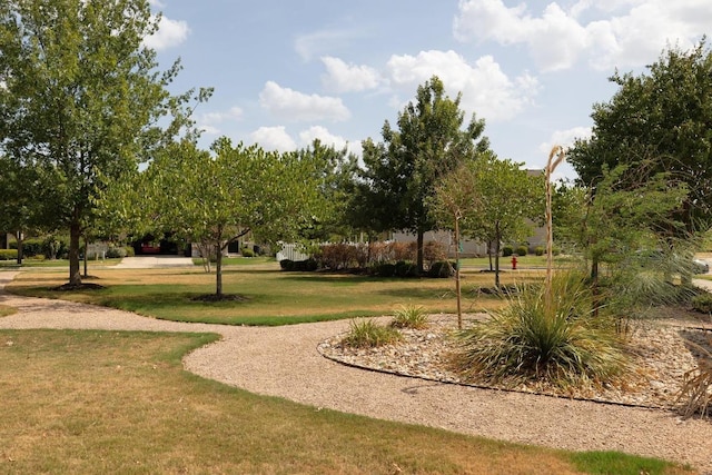 1777 Thompson Trl, Round Rock, TX 78664 - view of property's community featuring a yard