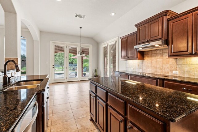 462 Shelf Rock, Driftwood, TX 78619 - kitchen with under cabinet range hood, a sink, black electric cooktop, stainless steel dishwasher, and tasteful backsplash