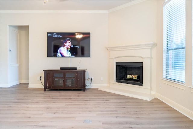 462 Shelf Rock, Driftwood, TX 78619 - living area featuring wood finished floors, crown molding, baseboards, and a fireplace with raised hearth