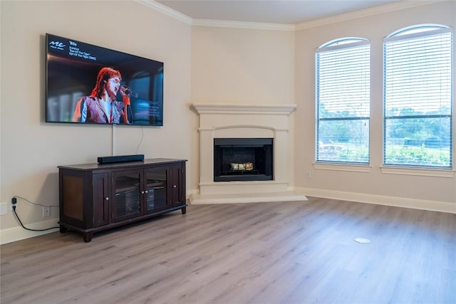 462 Shelf Rock, Driftwood, TX 78619 - unfurnished living room featuring healthy amount of natural light, wood finished floors, and ornamental molding