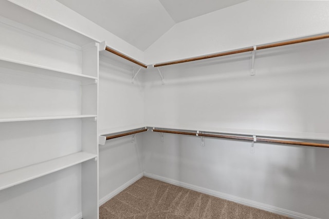 425 Valley Oaks Loop, Georgetown, TX 78626 - walk in closet with carpet and vaulted ceiling