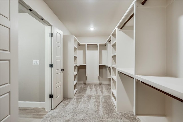 2502 Truman Dr, Lago Vista, TX 78645 - view of spacious closet