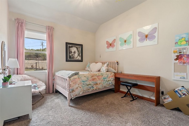 216 Vista Village Cv, Austin, TX 78738 - carpeted bedroom featuring lofted ceiling