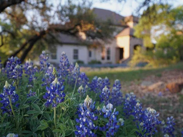 19200 White Horse Cv, Spicewood, TX 78669 - view of property exterior