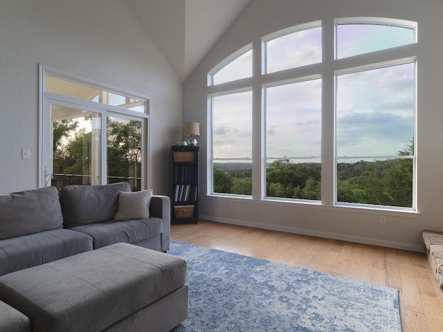 19200 White Horse Cv, Spicewood, TX 78669 - living room featuring plenty of natural light, wood finished floors, and lofted ceiling