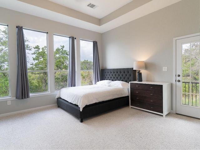 19200 White Horse Cv, Spicewood, TX 78669 - bedroom featuring multiple windows, light colored carpet, and visible vents