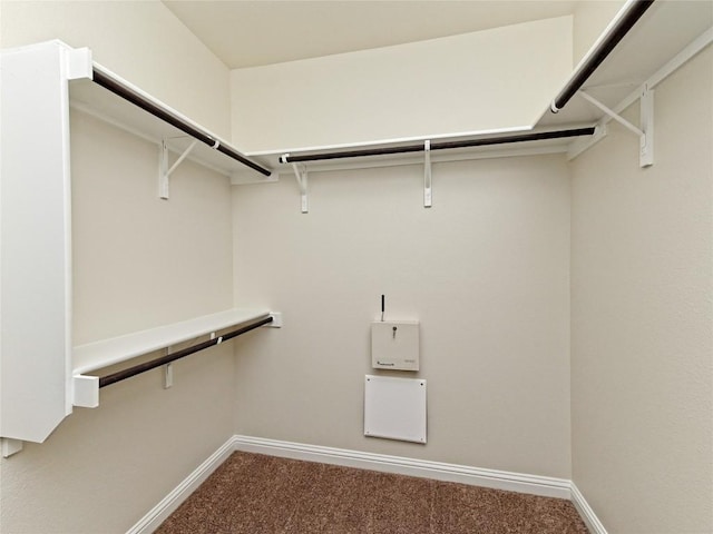 walk in closet with carpet floors