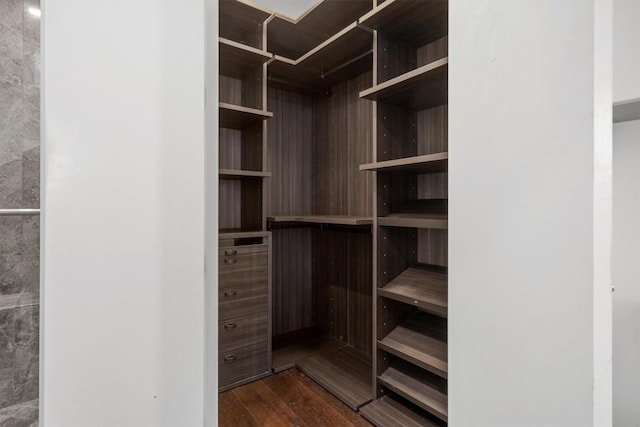 spacious closet with dark wood-style flooring