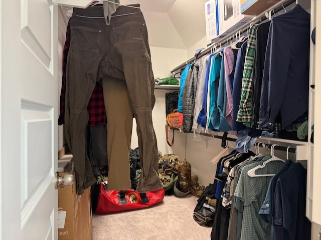 spacious closet with lofted ceiling and carpet