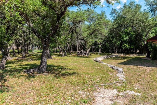 511 Shadywood Ln, Dripping Springs, TX 78620 - view of green lawn