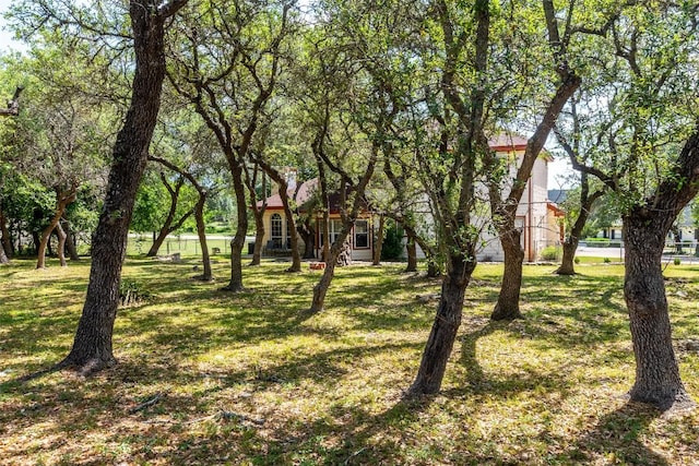 511 Shadywood Ln, Dripping Springs, TX 78620 - view of grassy yard