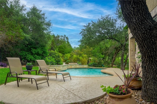 14912 Swallow Tailed Kite Dr, Austin, TX 78738 - outdoor pool with a patio