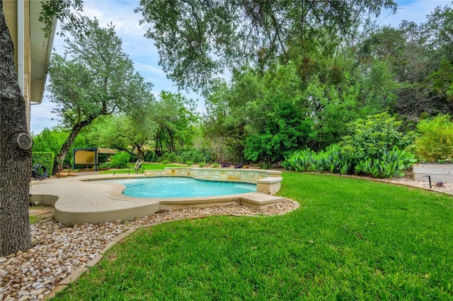 14912 Swallow Tailed Kite Dr, Austin, TX 78738 - view of swimming pool with a yard
