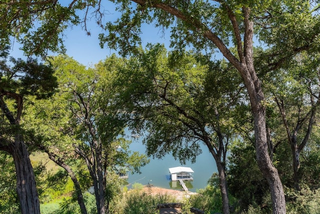 26302 Countryside Dr, Spicewood, TX 78669 - water view with a boat dock