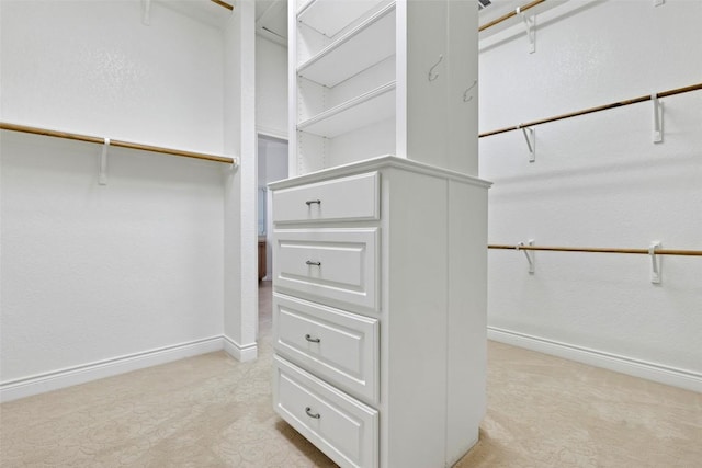 110 Woodall Dr, Georgetown, TX 78628 - walk in closet with light colored carpet