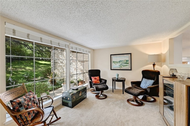 sitting room with a textured ceiling, carpet floors, and a bar