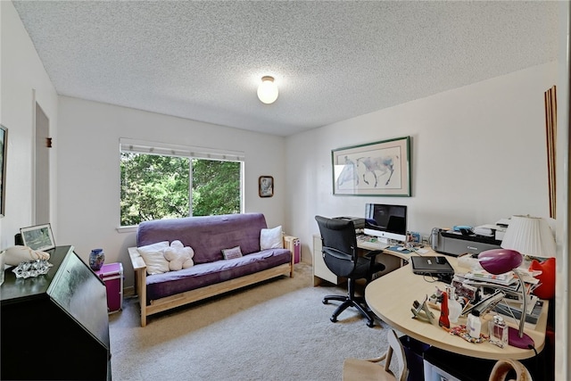 office space featuring a textured ceiling and carpet floors