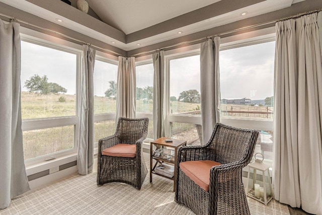770 Stanton Rd, Johnson City, TX 78636 - sunroom featuring vaulted ceiling, healthy amount of natural light, recessed lighting, and carpet