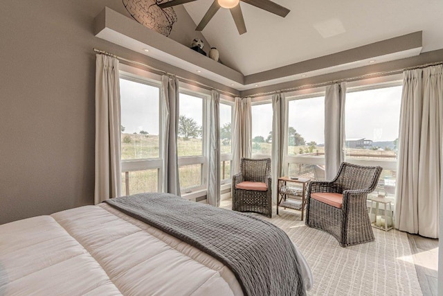 770 Stanton Rd, Johnson City, TX 78636 - bedroom with lofted ceiling, light colored carpet, and a ceiling fan