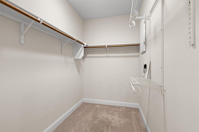 walk in closet with carpet floors