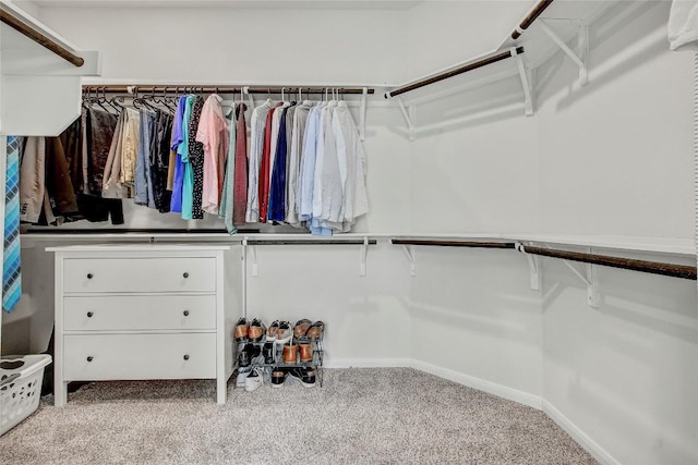walk in closet featuring carpet flooring