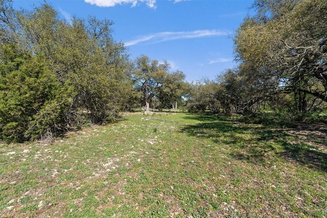 6300 County Road 200, Liberty Hill, TX 78642 - photo 1