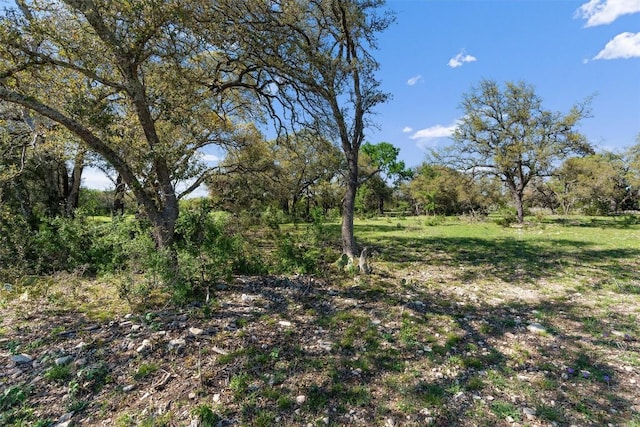 6300 County Road 200, Liberty Hill, TX 78642 - photo 3