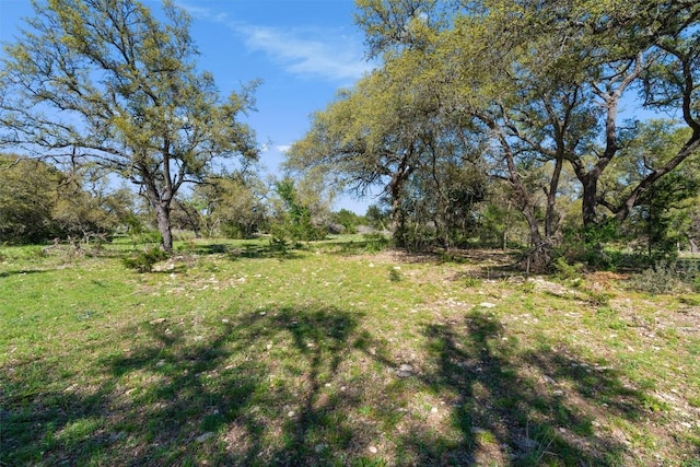 6300 County Road 200, Liberty Hill, TX 78642 - photo 4