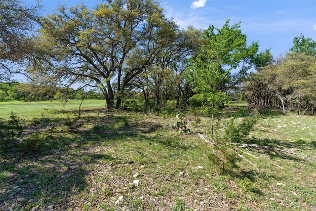 6300 County Road 200, Liberty Hill, TX 78642 - photo 5