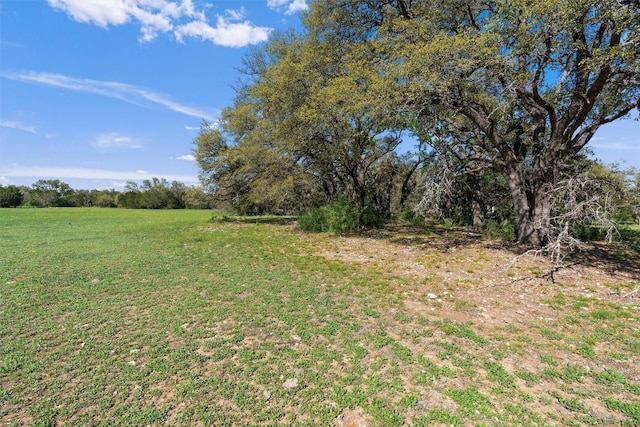 6300 County Road 200, Liberty Hill, TX 78642 - photo 6