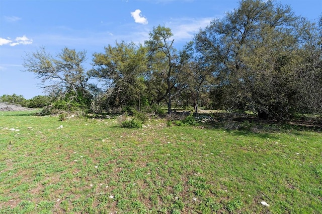 6300 County Road 200, Liberty Hill, TX 78642 - photo 8
