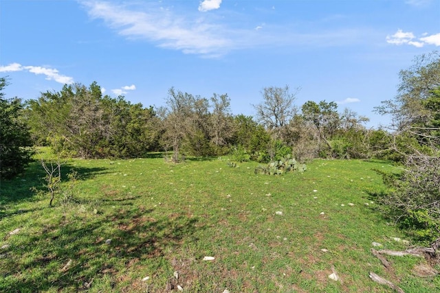 6300 County Road 200, Liberty Hill, TX 78642 - photo 9