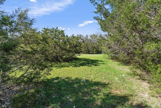 6300 County Road 200, Liberty Hill, TX 78642 - photo 10