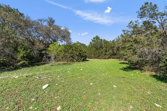 6300 County Road 200, Liberty Hill, TX 78642 - photo 11