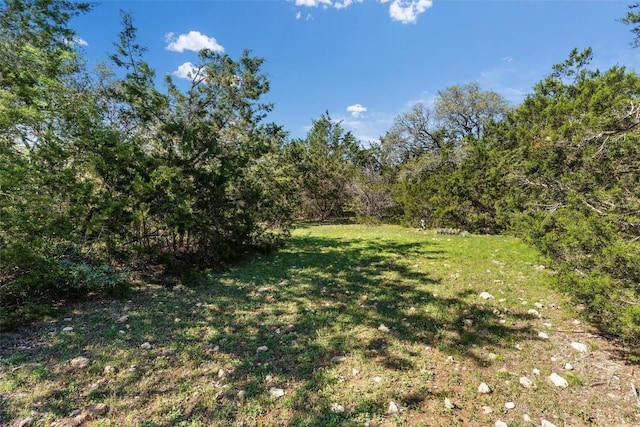 6300 County Road 200, Liberty Hill, TX 78642 - photo 12