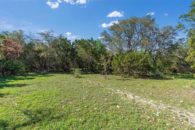 6300 County Road 200, Liberty Hill, TX 78642 - photo 13