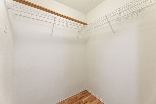 walk in closet featuring light wood-type flooring