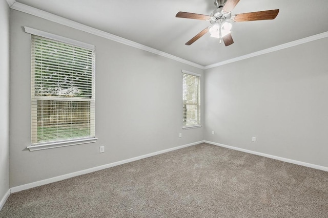 400 Hummingbird Ln Unit A, Austin, TX 78734 - spare room featuring ornamental molding, carpet floors, and ceiling fan