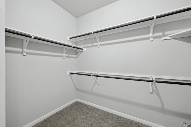 400 Hummingbird Ln Unit A, Austin, TX 78734 - walk in closet featuring carpet