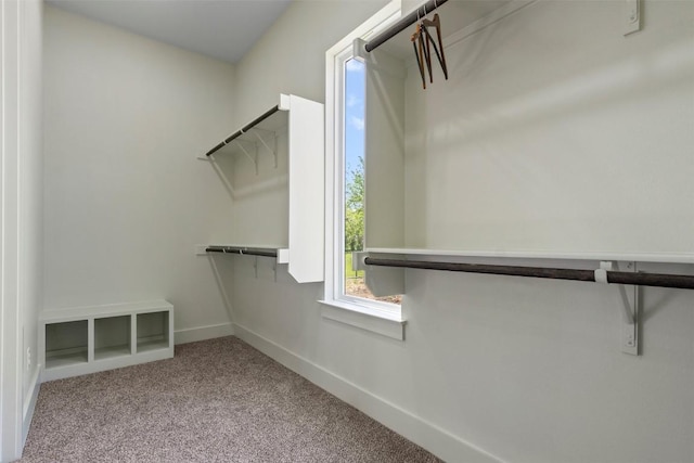 17109 Saint Therese Rd, Manor, TX 78653 - walk in closet featuring carpet