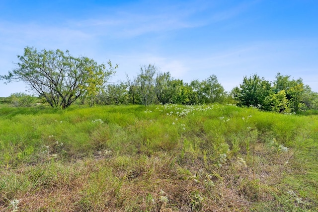 296 E Ridge Ln, Niederwald, TX 78640
