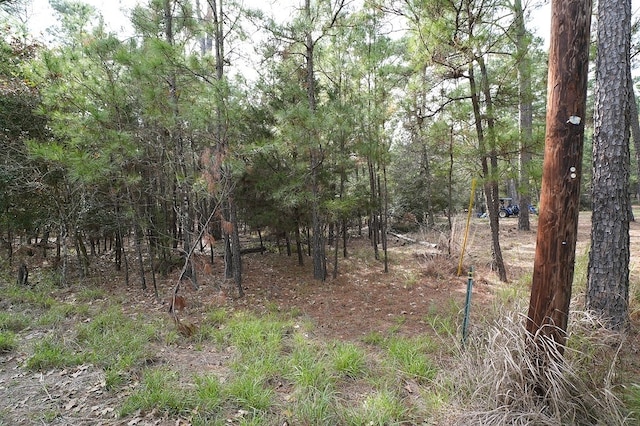 000 Red Fox Rd, La Grange, TX 78945